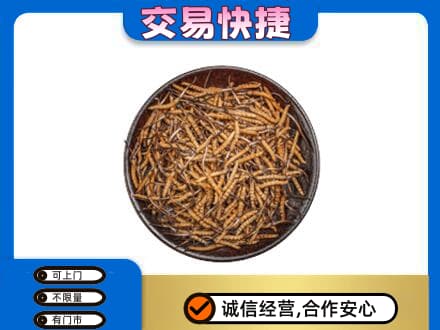 广南县高价回收散虫草